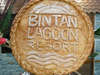 Bintan Lagoon Resort 